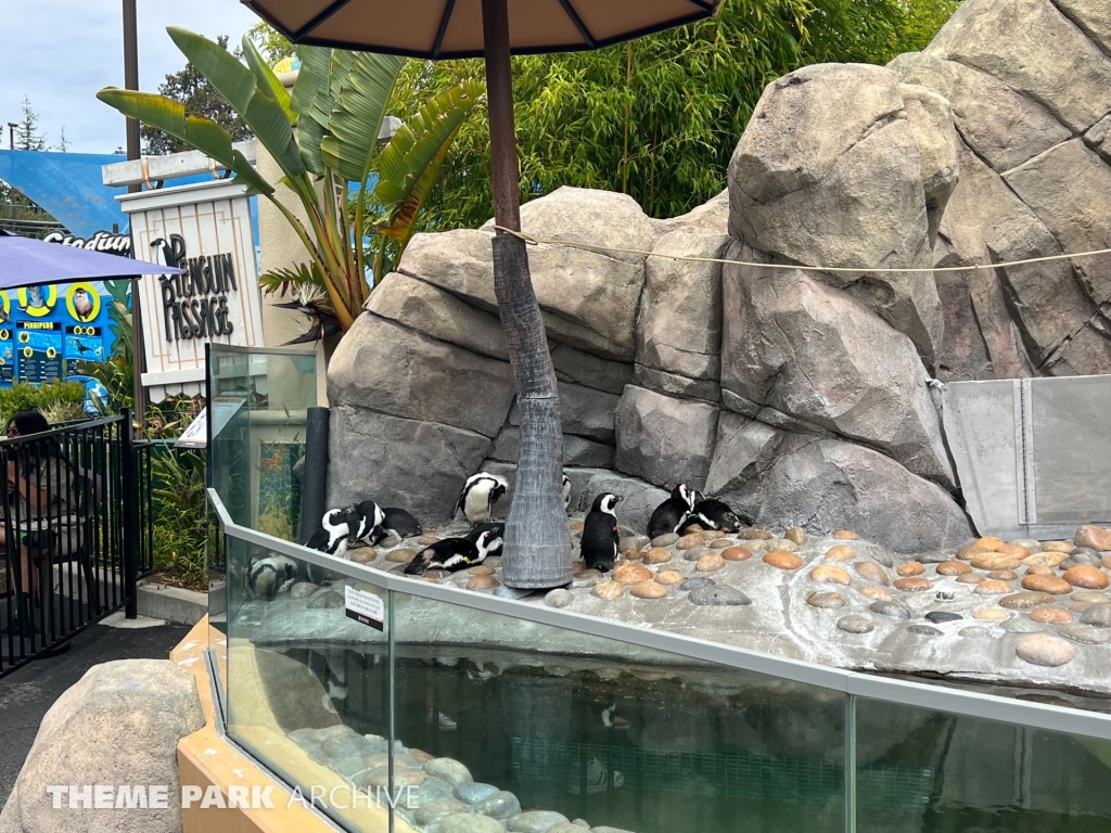 Penguin Passage at Six Flags Discovery Kingdom