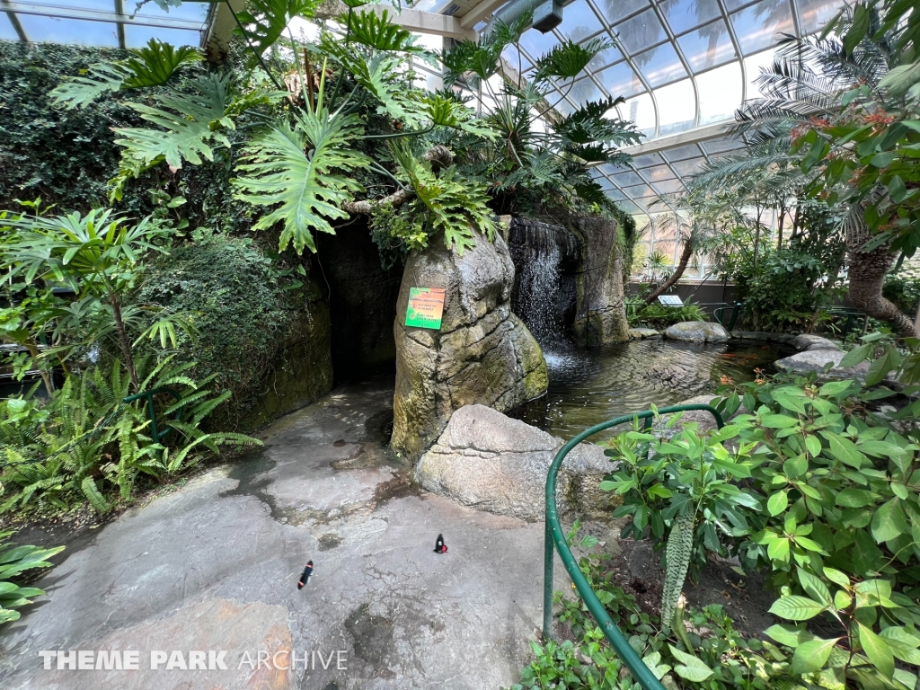 Butterfly Garden at Six Flags Discovery Kingdom