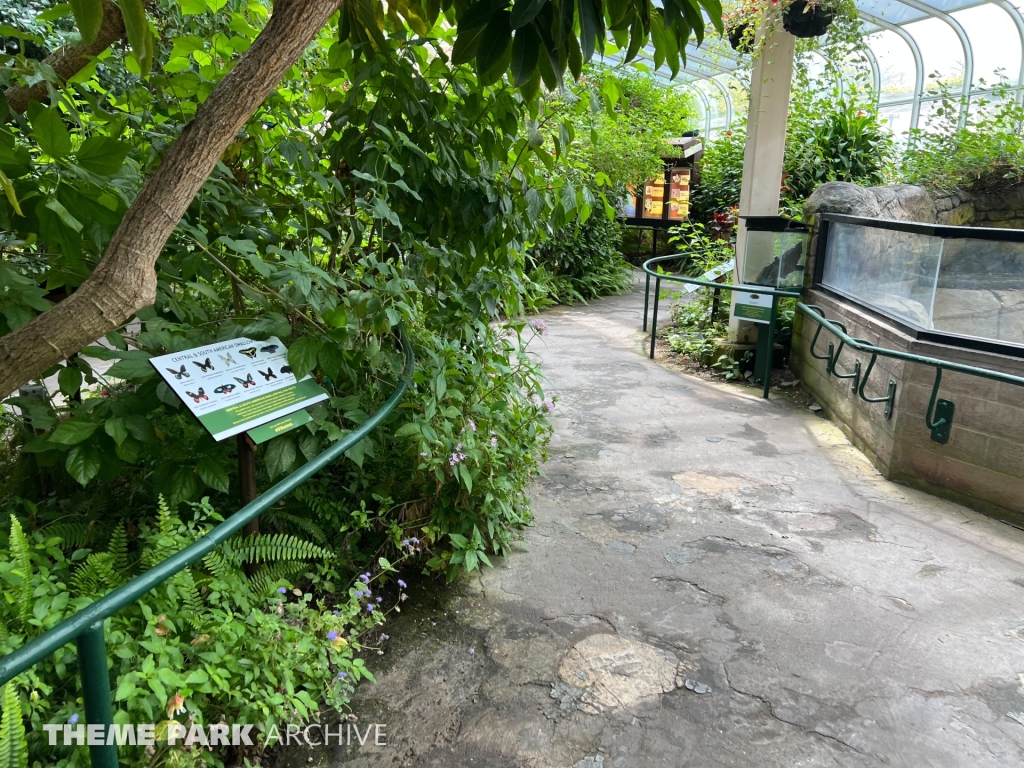 Butterfly Garden at Six Flags Discovery Kingdom