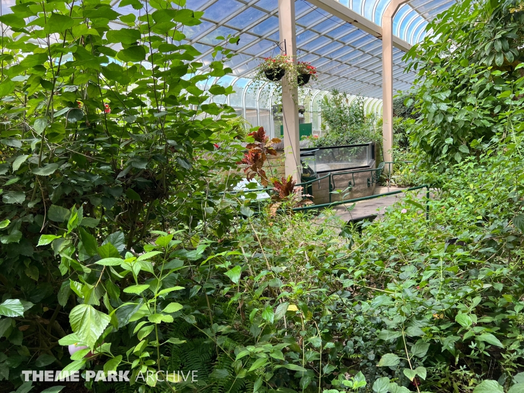 Butterfly Garden at Six Flags Discovery Kingdom