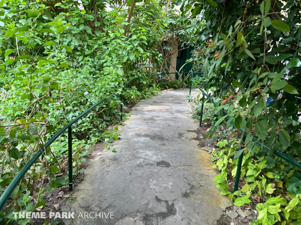 Butterfly Garden at Six Flags Discovery Kingdom