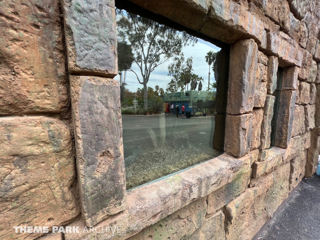 Sidewinder Safari at Six Flags Discovery Kingdom