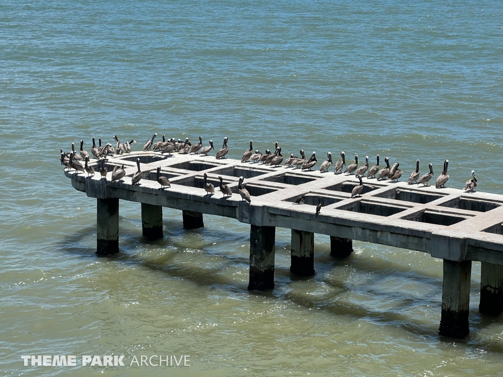 Misc at Galveston Island Historic Pleasure Pier