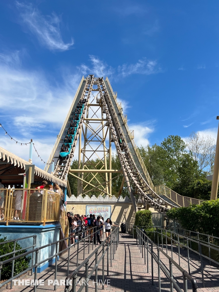 Cobra at Walibi Belgium