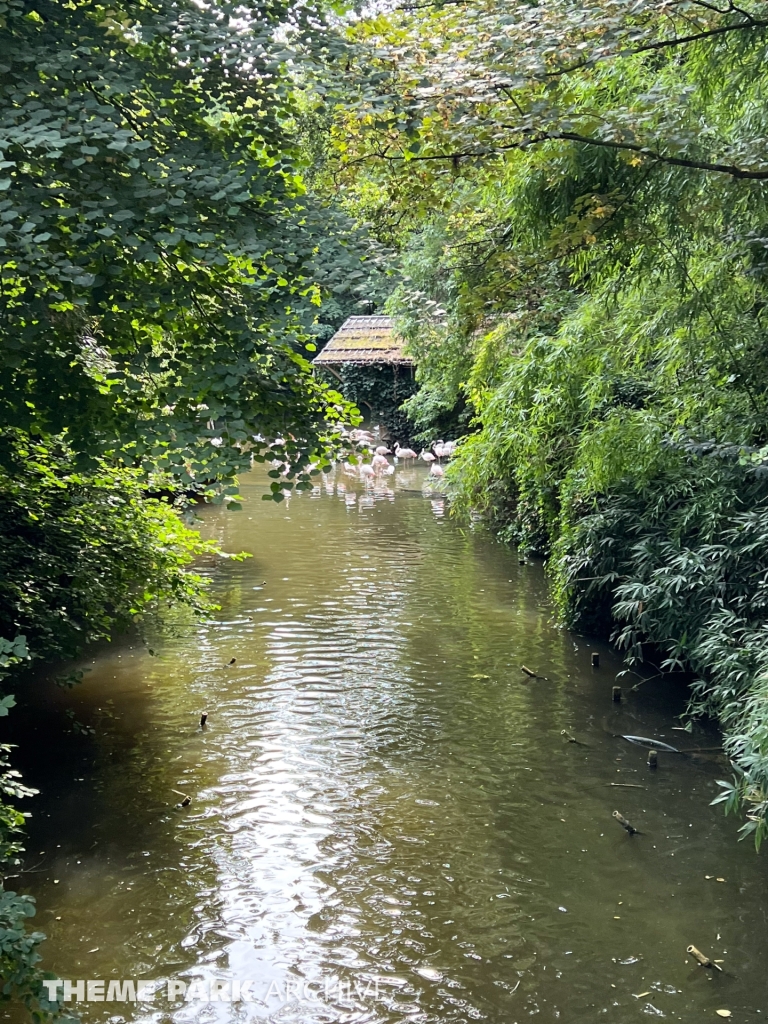 Jungle Mission at Bellewaerde