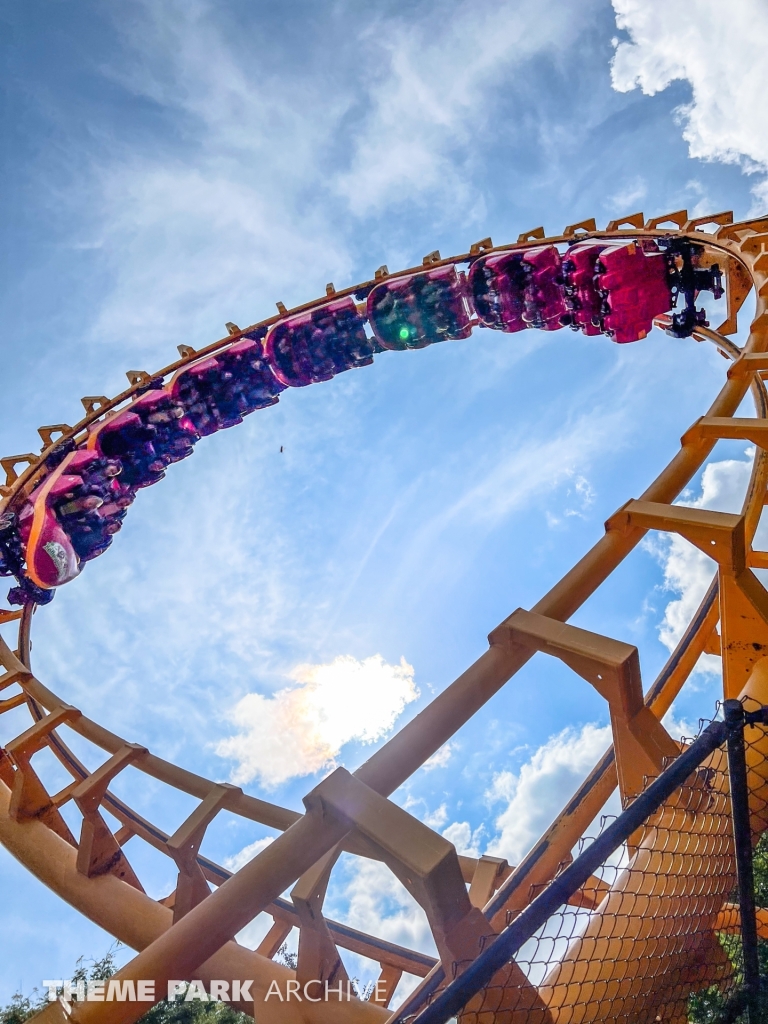 Boomerang at Bellewaerde