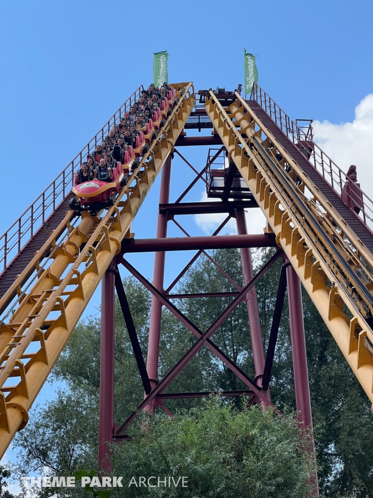 Boomerang at Bellewaerde