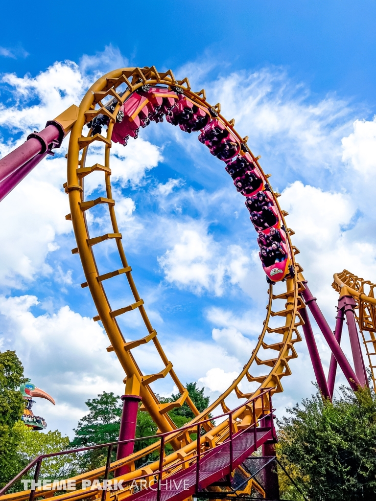 Boomerang at Bellewaerde