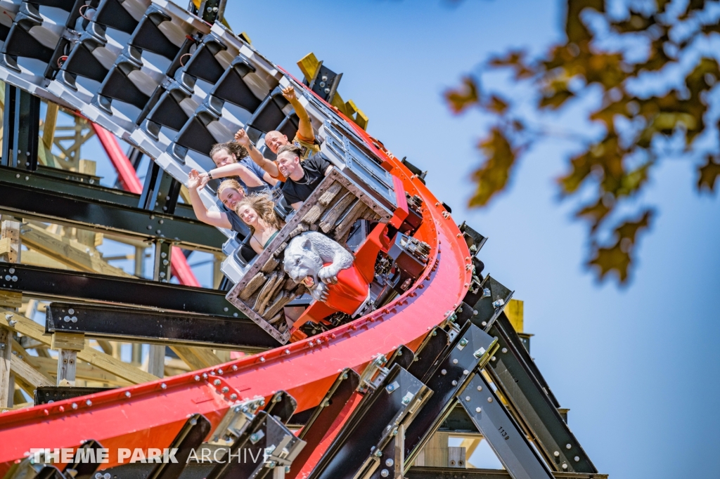 Wildcat's Revenge at Hersheypark