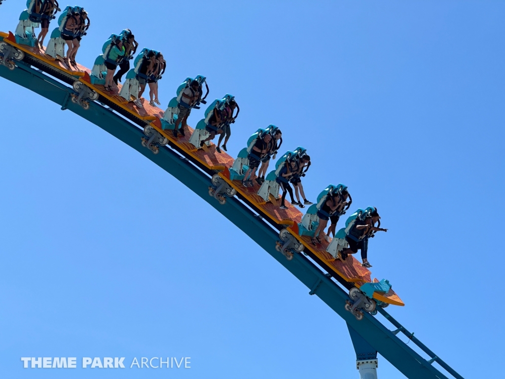 Pipeline: The Surf Coaster at SeaWorld Orlando