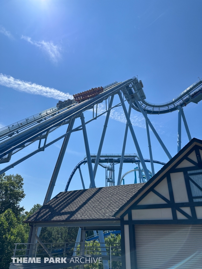 Griffon at Busch Gardens Williamsburg