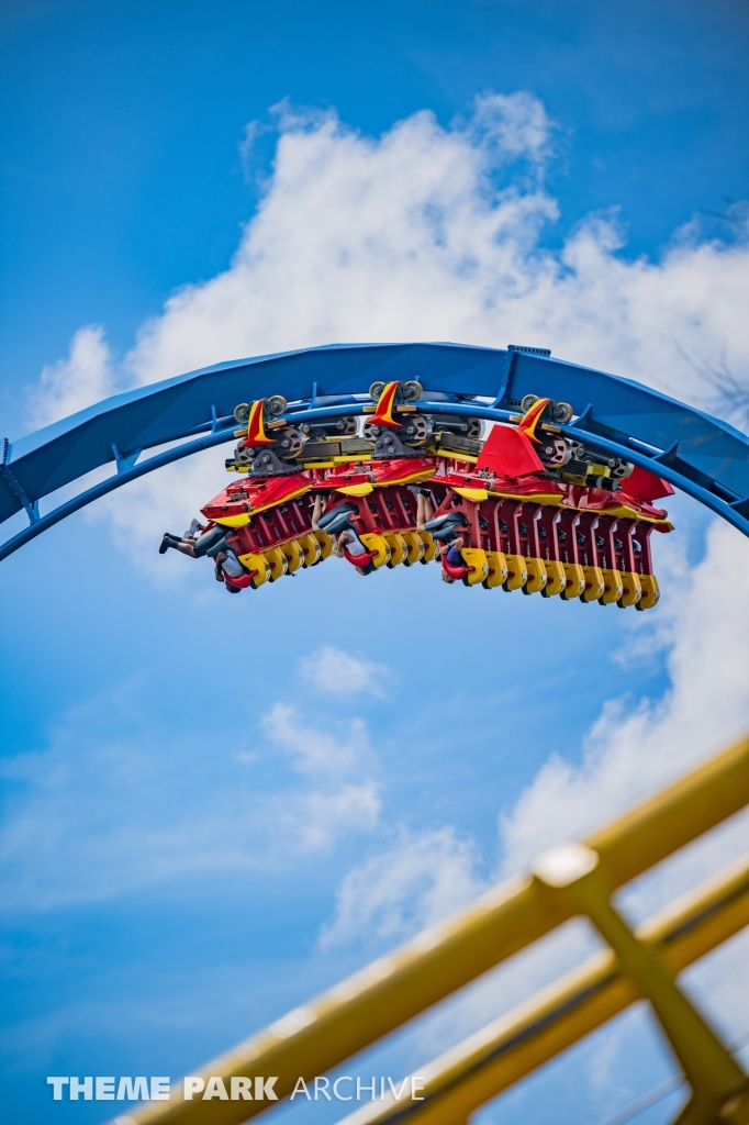 Griffon at Busch Gardens Williamsburg