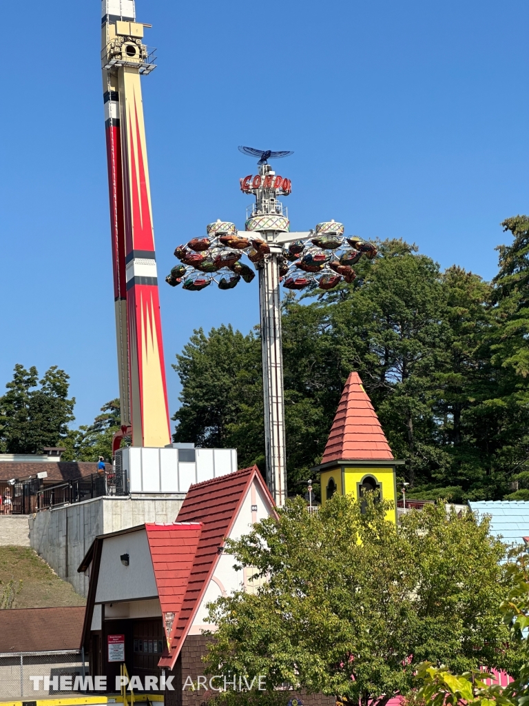 Condor at Great Escape