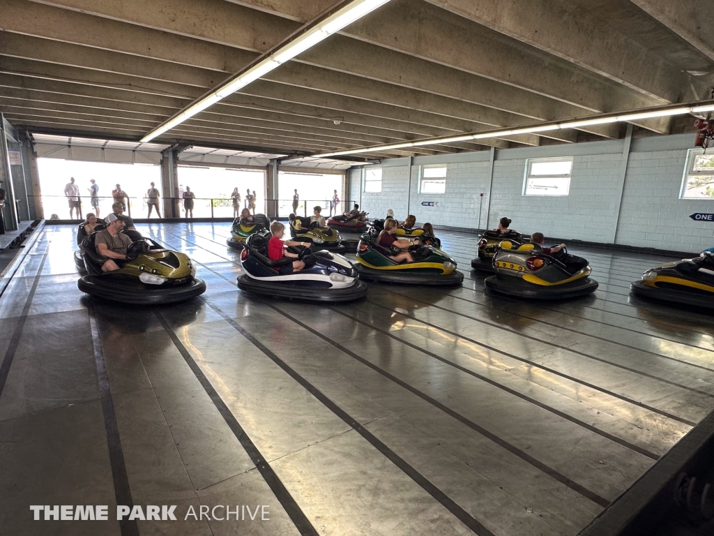 Bumper Cars at Funland