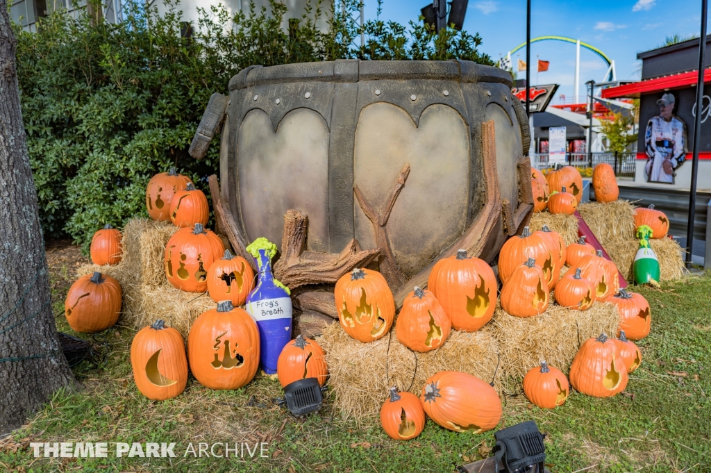 SCarowinds at Carowinds