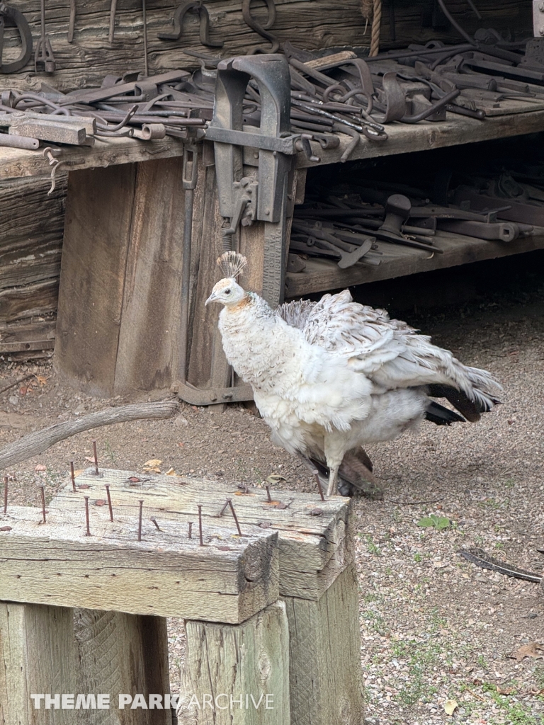 Pioneer Village at Lagoon