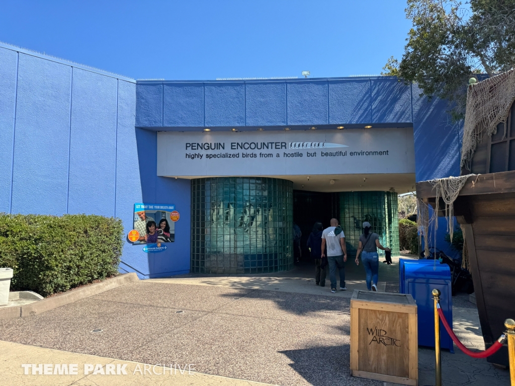 Penguin Encounter at SeaWorld San Diego