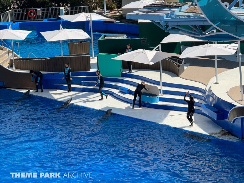 Blue Horizons at SeaWorld San Diego