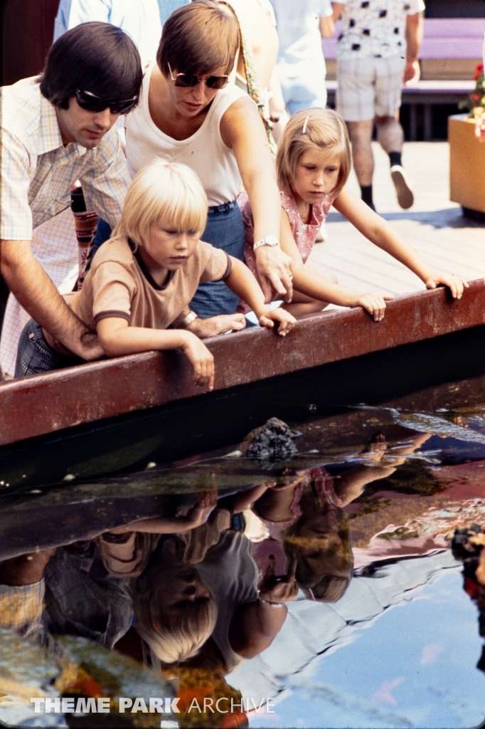 Caribbean Tide Pool at SeaWorld Ohio