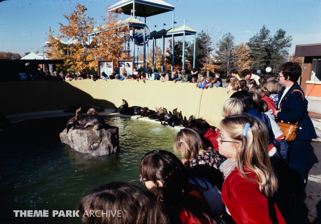 Seal Feeding Pool at SeaWorld Ohio