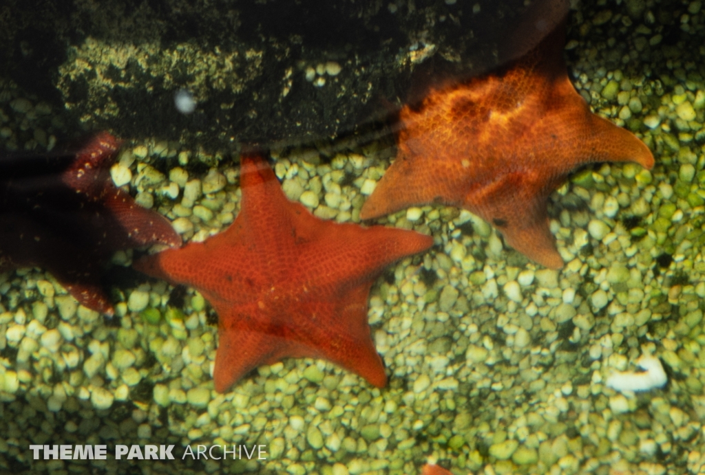 World of the Sea Aquarium at SeaWorld Ohio