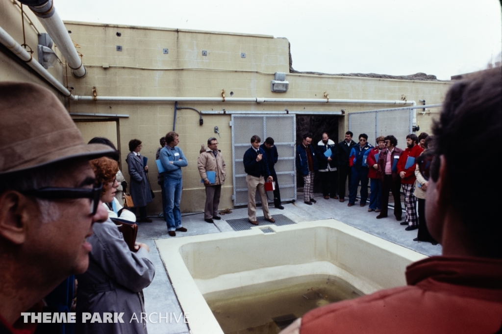 Seal Feeding Pool at SeaWorld Ohio