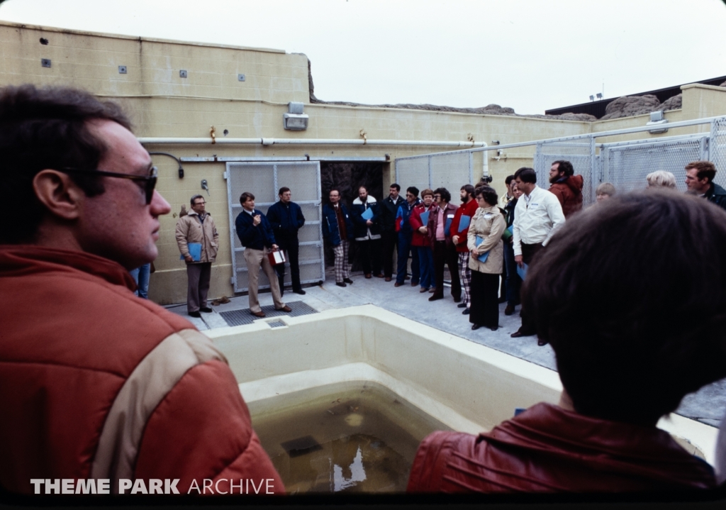 Seal Feeding Pool at SeaWorld Ohio