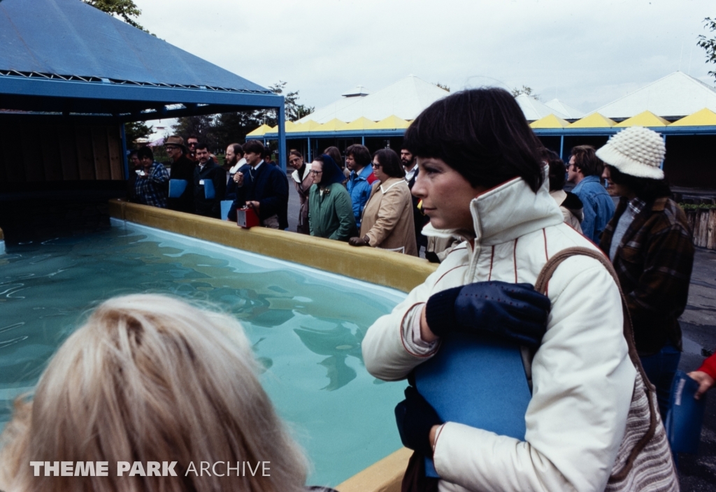 Whale and Dolphin Petting Pool at SeaWorld Ohio