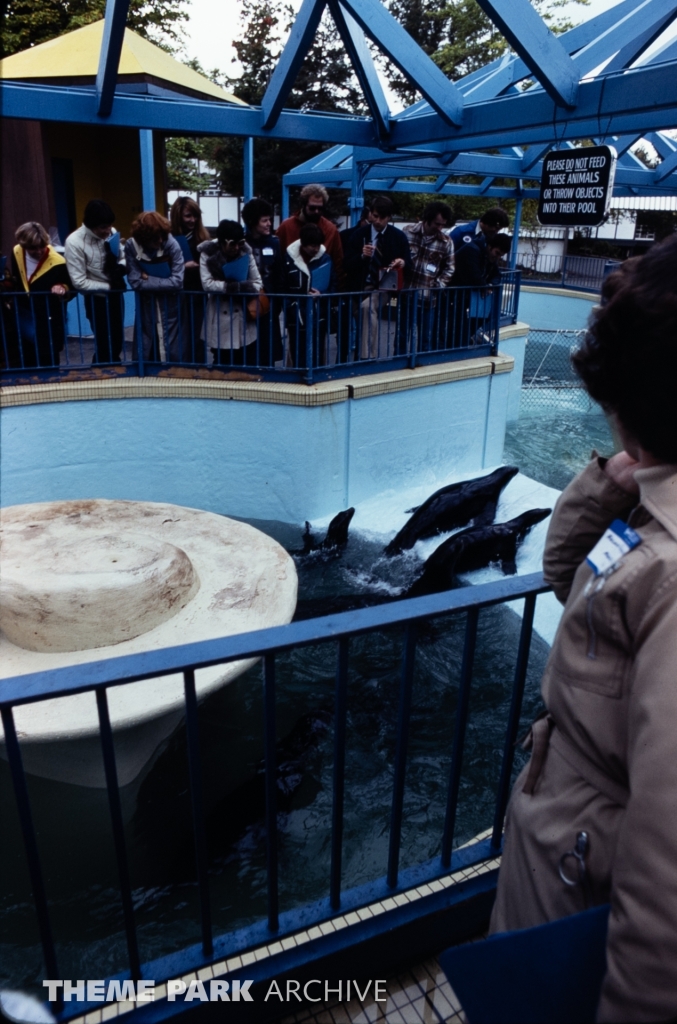 Seal Feeding Pool at SeaWorld Ohio