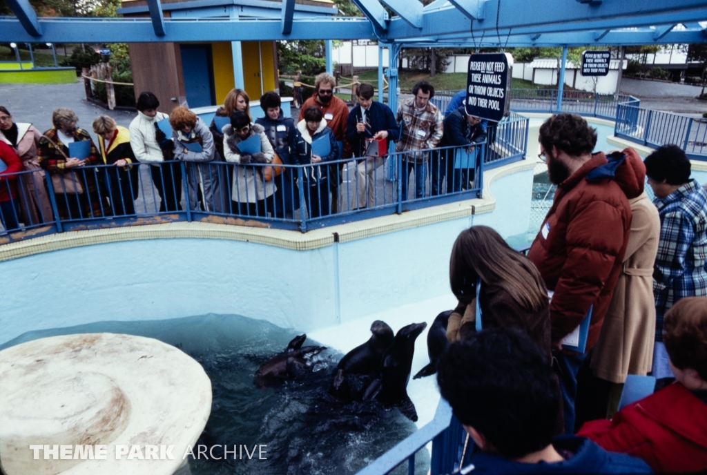 Seal Feeding Pool at SeaWorld Ohio