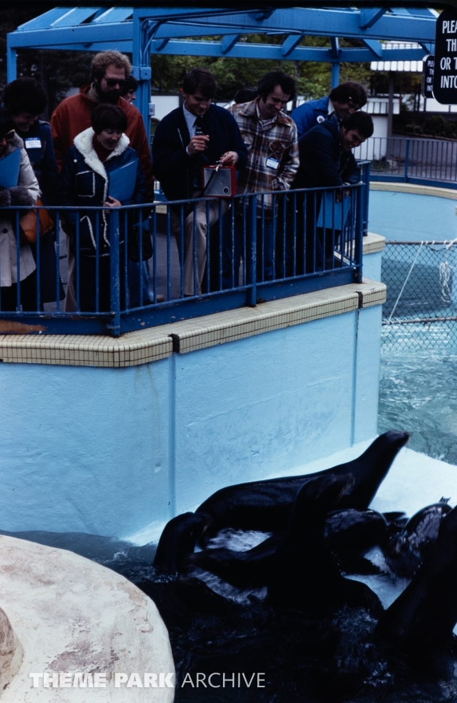 Seal Feeding Pool at SeaWorld Ohio