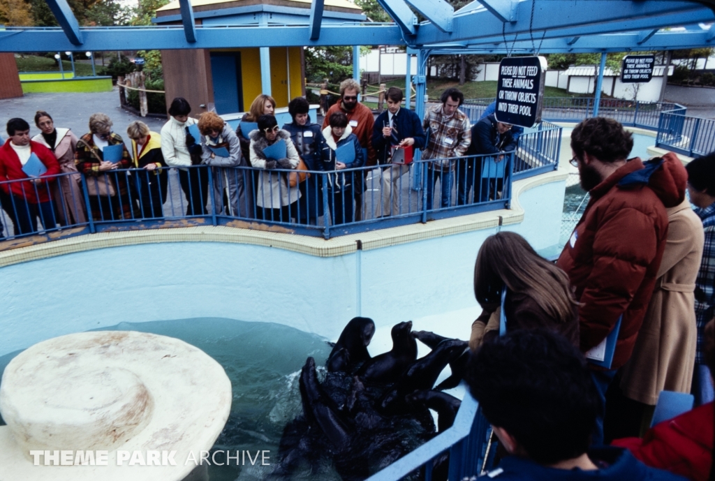 Seal Feeding Pool at SeaWorld Ohio