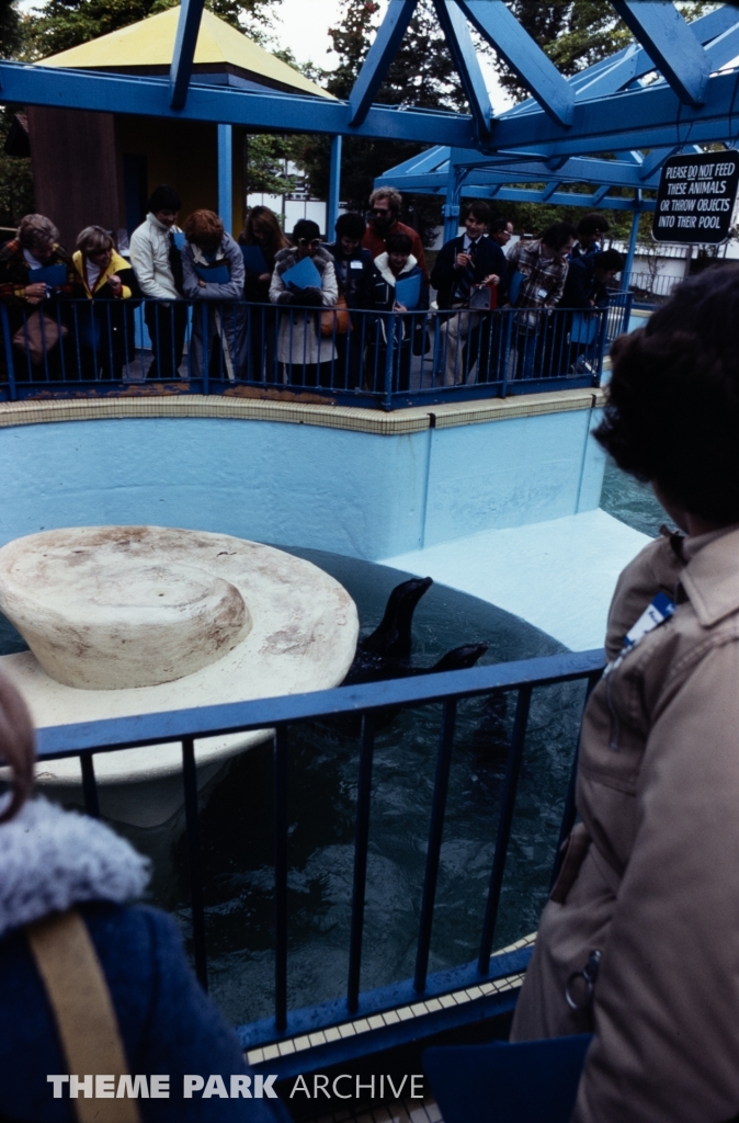 Seal Feeding Pool at SeaWorld Ohio