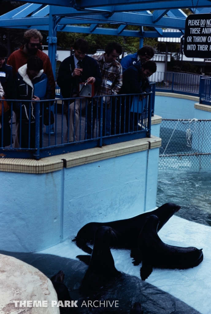 Seal Feeding Pool at SeaWorld Ohio