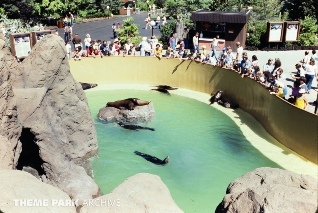 Seal Feeding Pool at SeaWorld Ohio