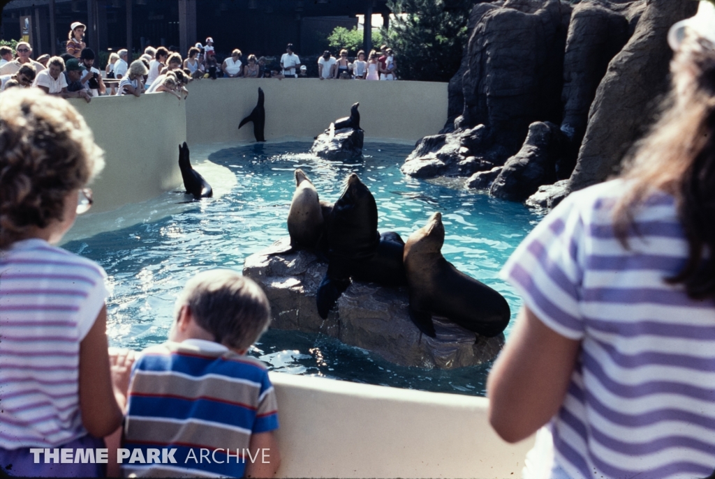 Seal Feeding Pool at SeaWorld Ohio