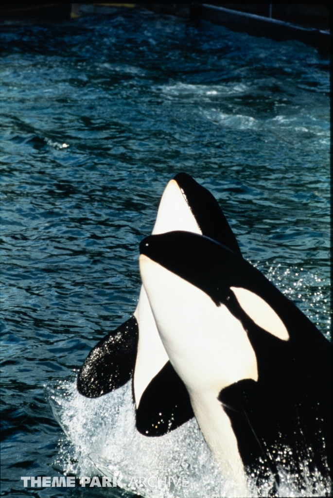 Shamu Stadium at SeaWorld Ohio