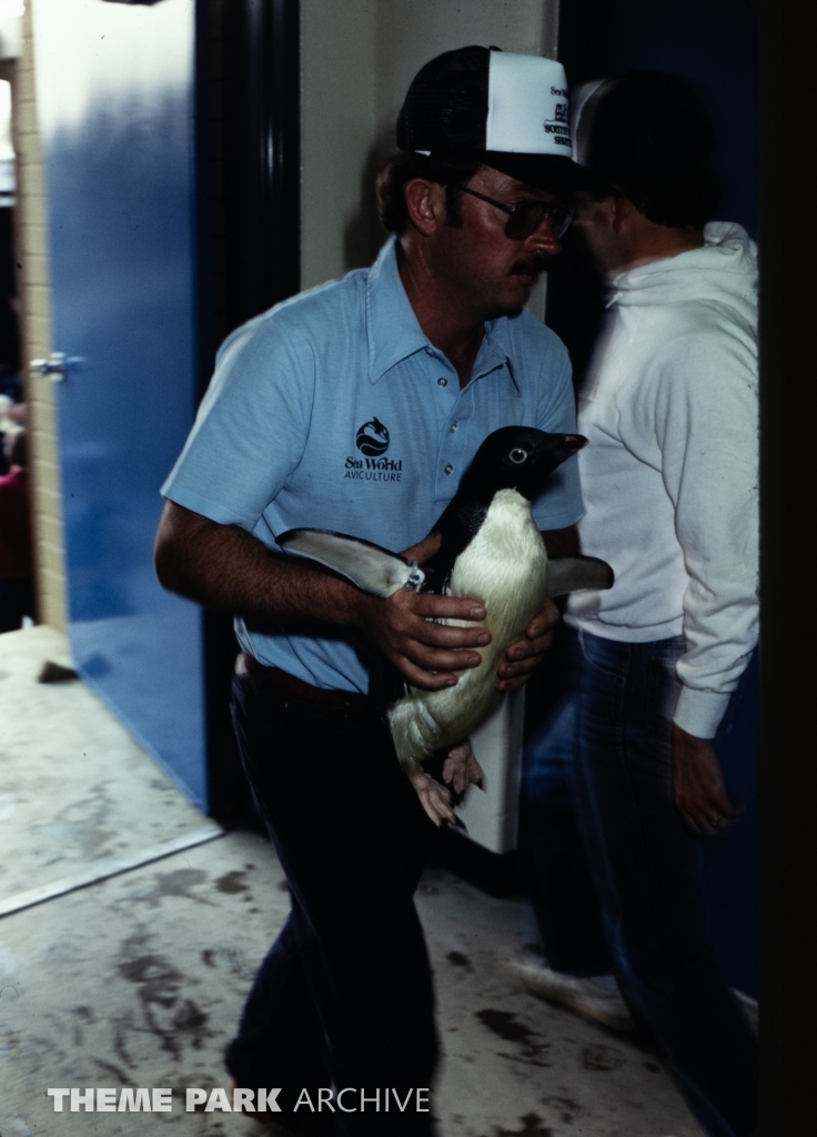 Penguin Encounter at SeaWorld Ohio