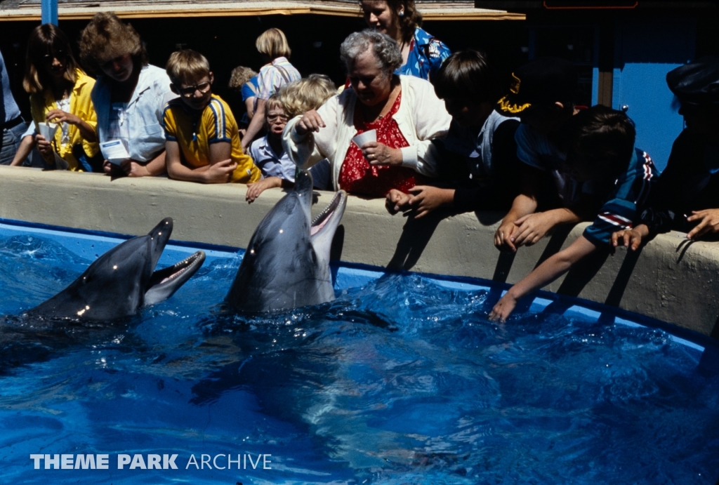 Whale and Dolphin Petting Pool at SeaWorld Ohio