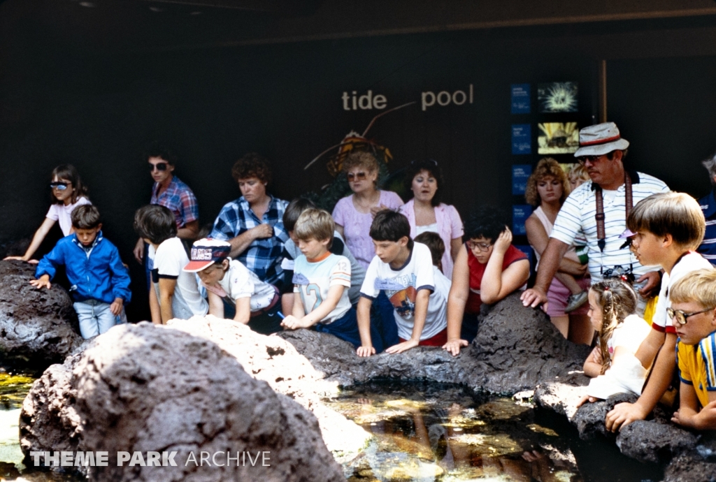 Caribbean Tide Pool at SeaWorld Ohio