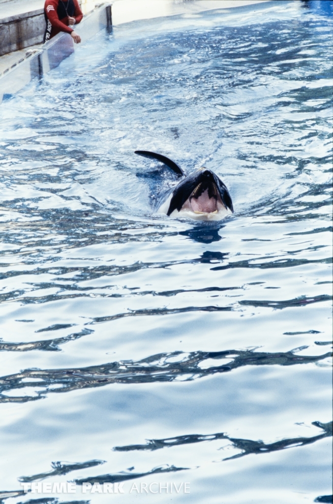 Shamu Stadium at SeaWorld Ohio