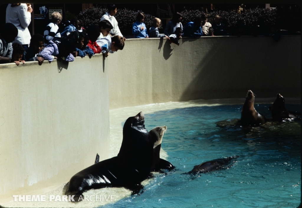 Seal Feeding Pool at SeaWorld Ohio