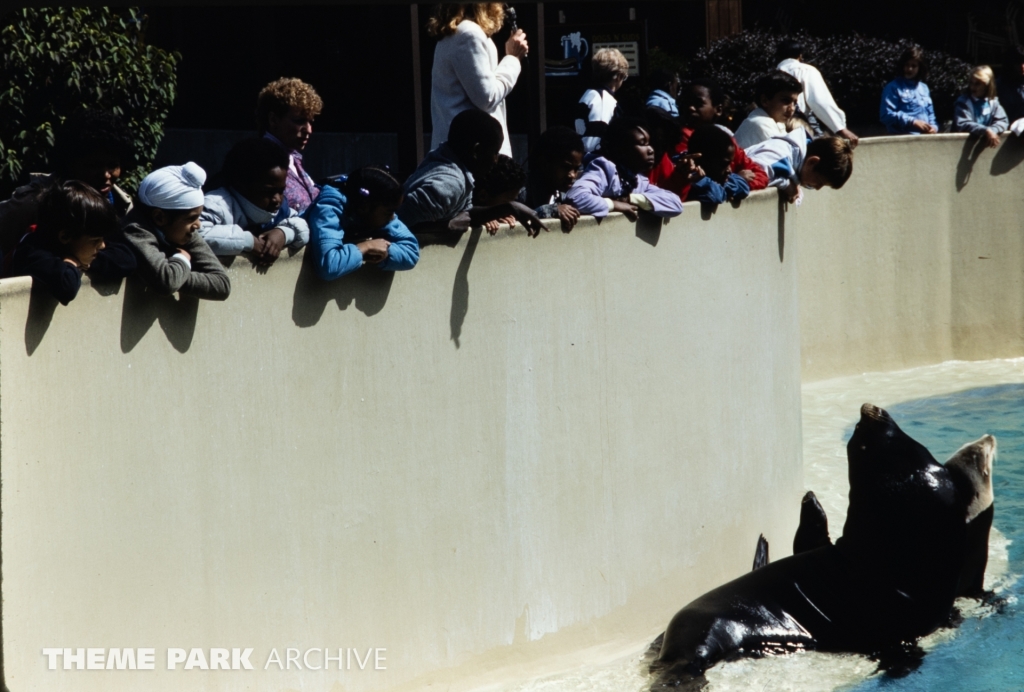 Seal and Otter Stadium at SeaWorld Ohio