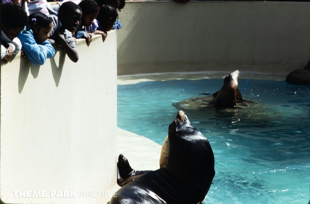 Seal and Otter Stadium at SeaWorld Ohio