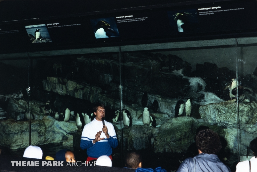 Penguin Encounter at SeaWorld Ohio