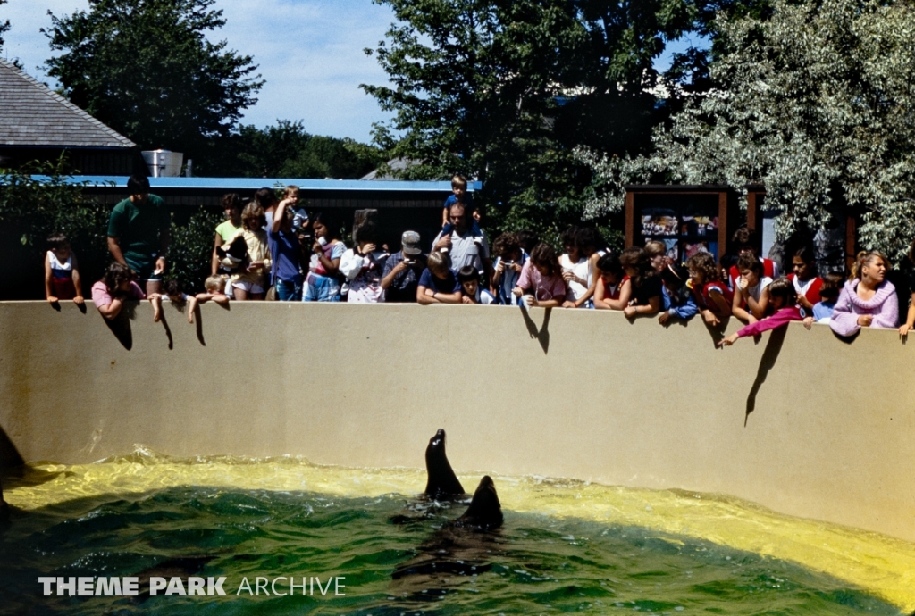 Seal Feeding Pool at SeaWorld Ohio