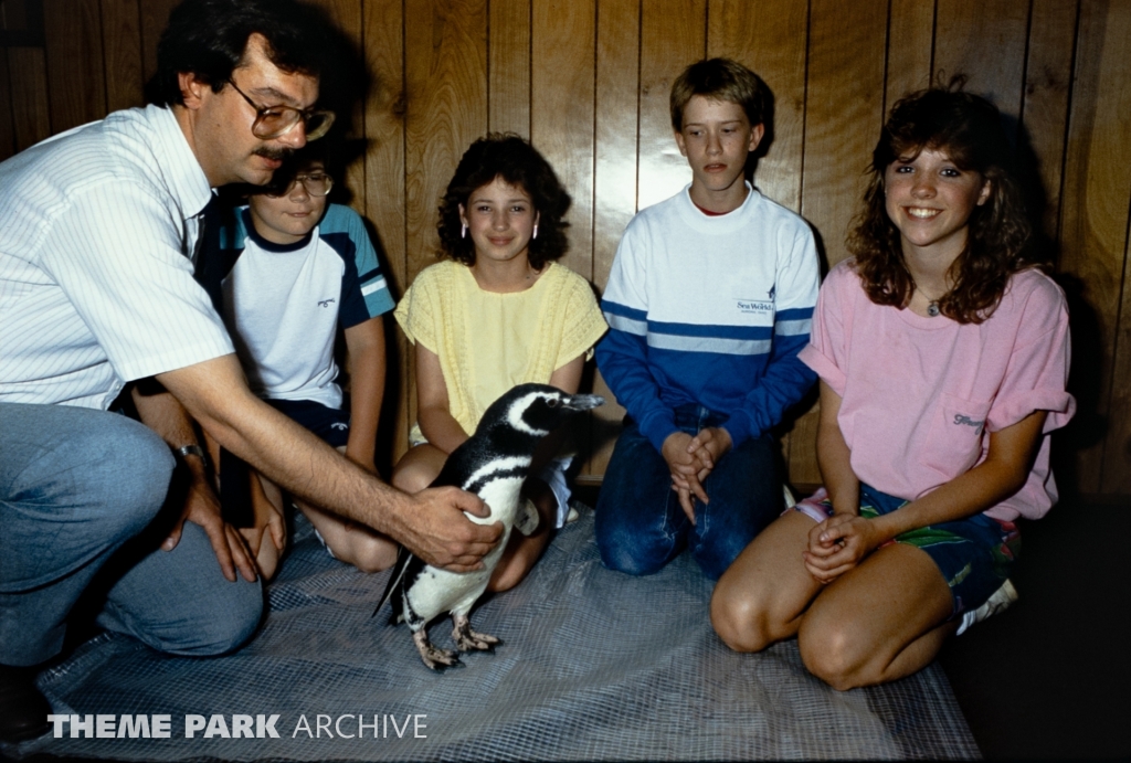 Penguin Encounter at SeaWorld Ohio