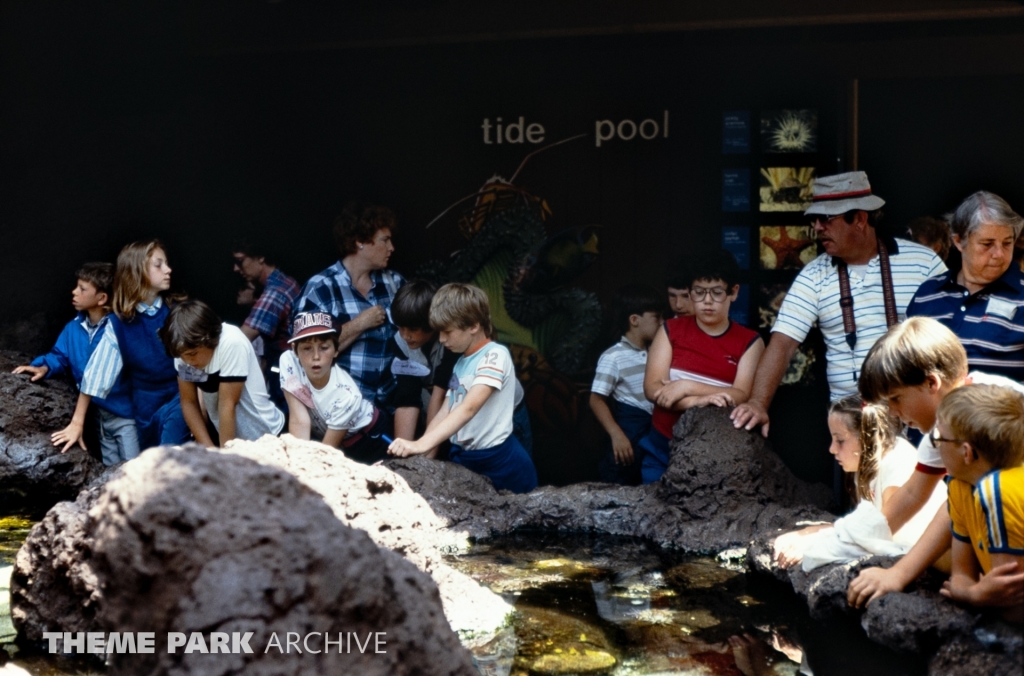 Caribbean Tide Pool at SeaWorld Ohio