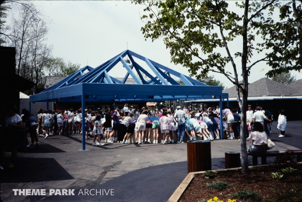 Whale and Dolphin Petting Pool at SeaWorld Ohio