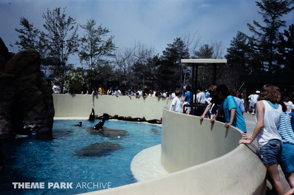 Seal Feeding Pool at SeaWorld Ohio